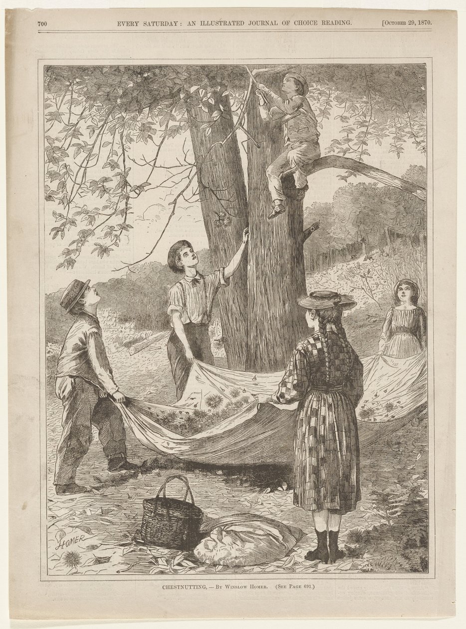 Gesztenyeszedés alkotó: Winslow Homer