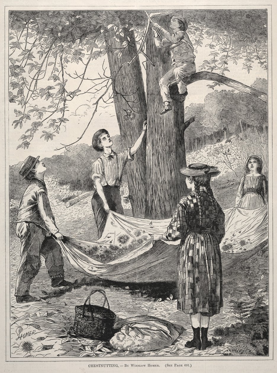 Gesztenyés, 1870. alkotó: Winslow Homer