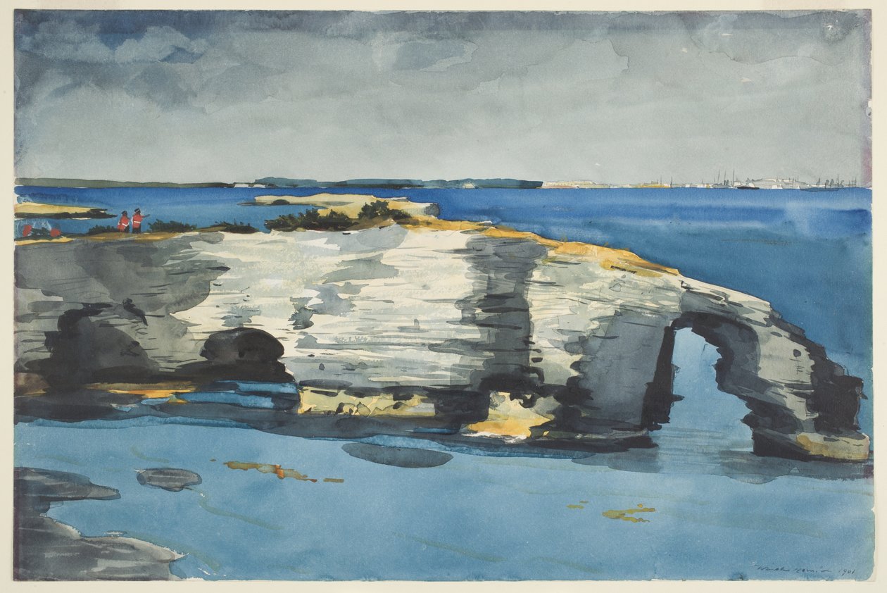 Korallképződmény alkotó: Winslow Homer