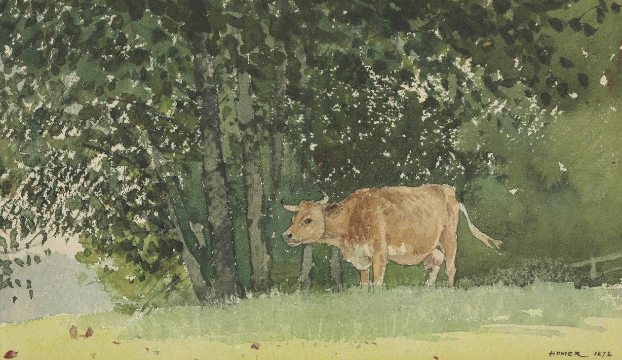 Tehén a legelőn alkotó: Winslow Homer