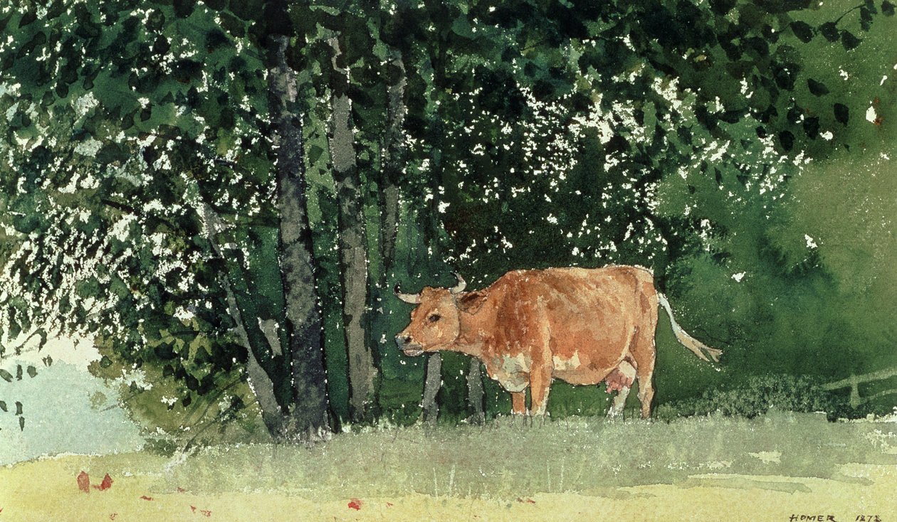 Tehén a legelőn, 1878 alkotó: Winslow Homer