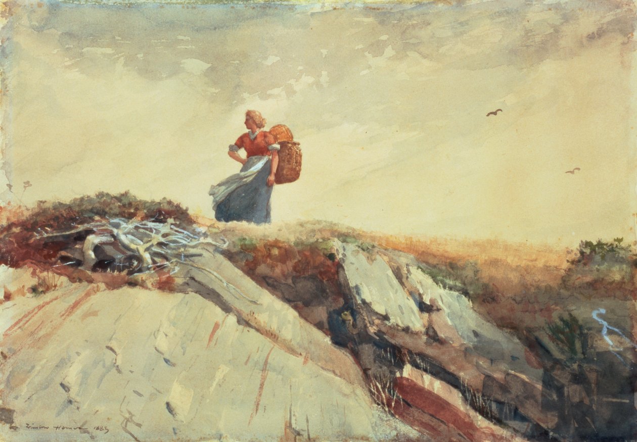 Le a sziklán, 1883 alkotó: Winslow Homer