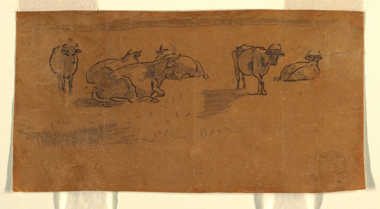 Rajz, tehenek a legelőn, 1872 körül. alkotó: Winslow Homer