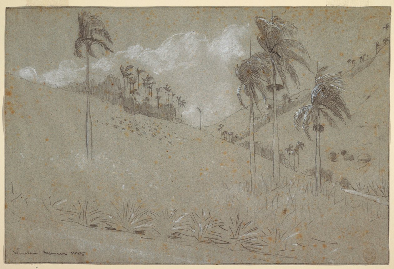 Rajz, kubai domboldal, 1885 alkotó: Winslow Homer