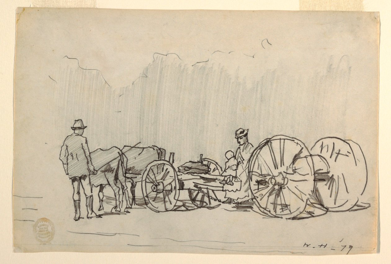 Rajz, ökörcsorda, 1879 alkotó: Winslow Homer