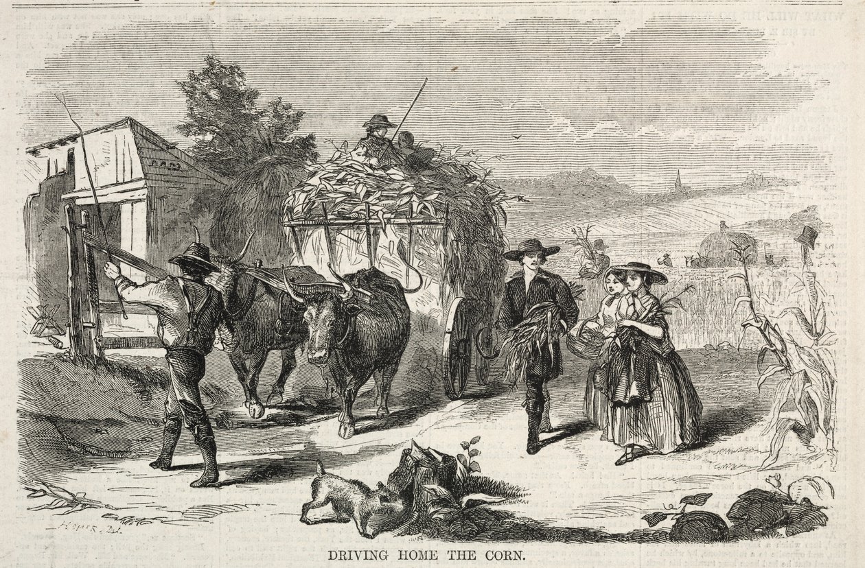 A kukorica hazahajtása alkotó: Winslow Homer