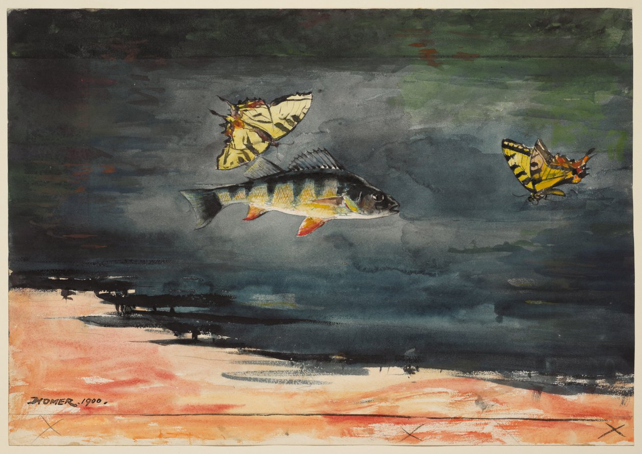Halak és pillangók alkotó: Winslow Homer