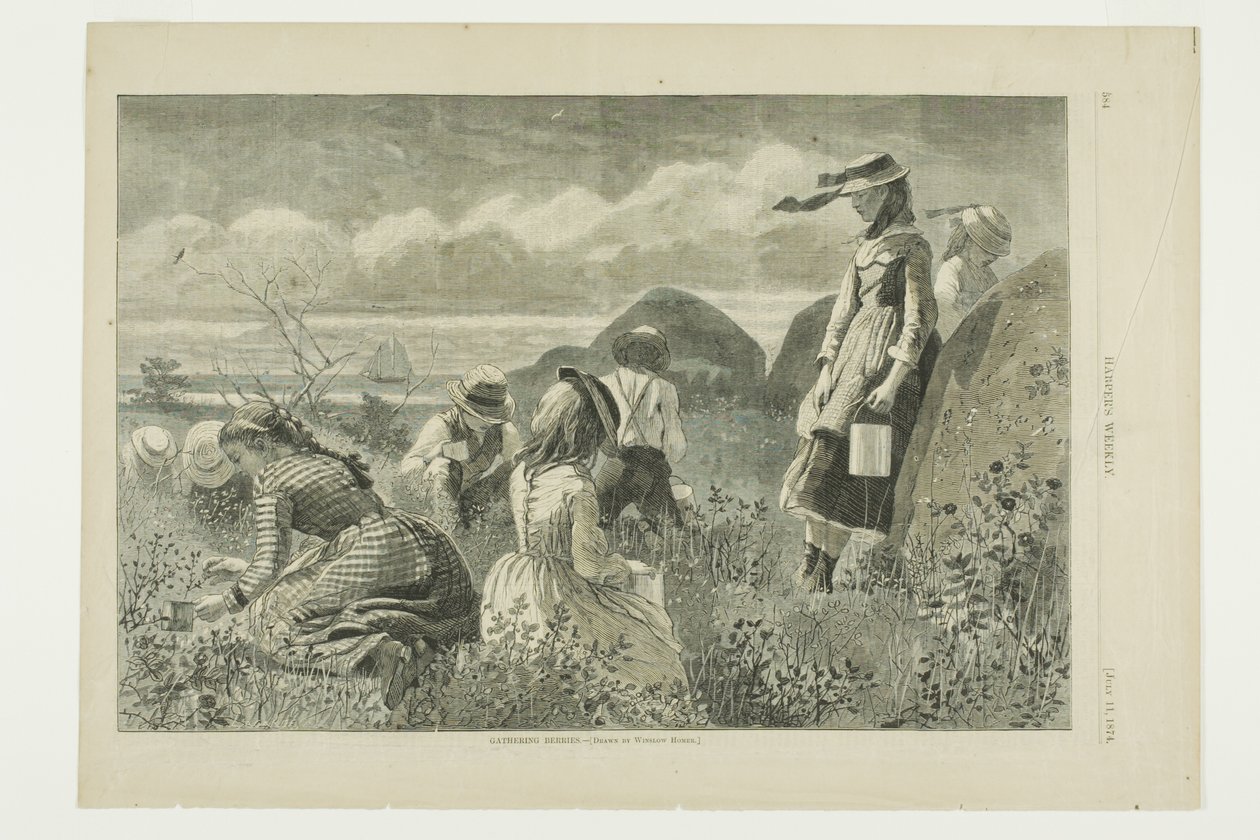 Bogyók gyűjtése alkotó: Winslow Homer