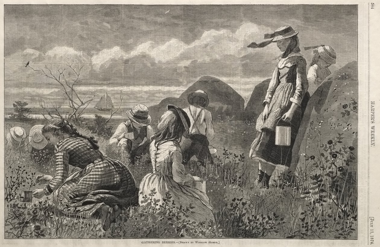 Bogyós gyümölcsök gyűjtése alkotó: Winslow Homer
