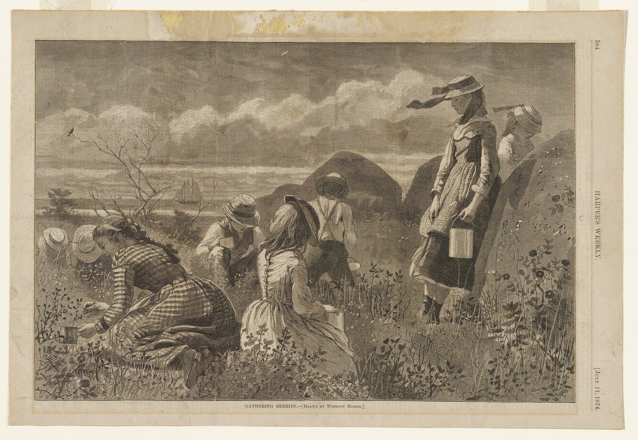 Bogyós gyümölcsök gyűjtése alkotó: Winslow Homer