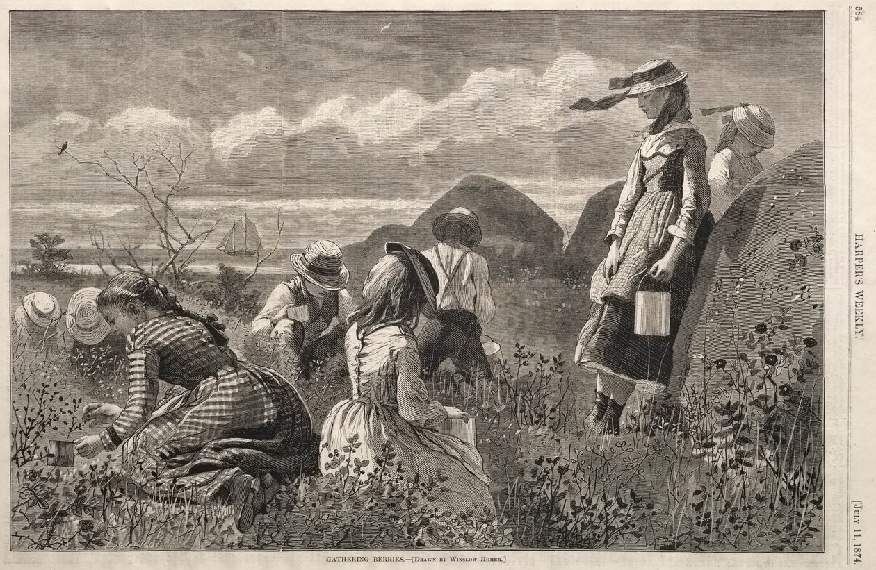 Bogyók gyűjtése, 1874. alkotó: Winslow Homer