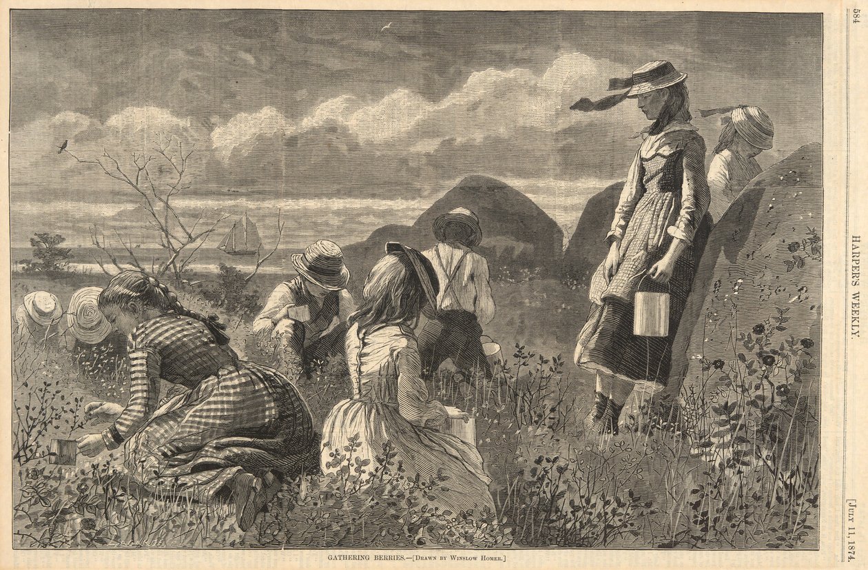 Bogyók gyűjtése, Harpertől alkotó: Winslow Homer