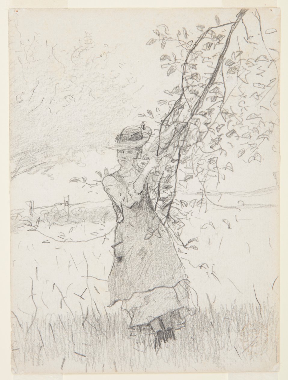 Lány, aki egy almafa ágát tartja alkotó: Winslow Homer