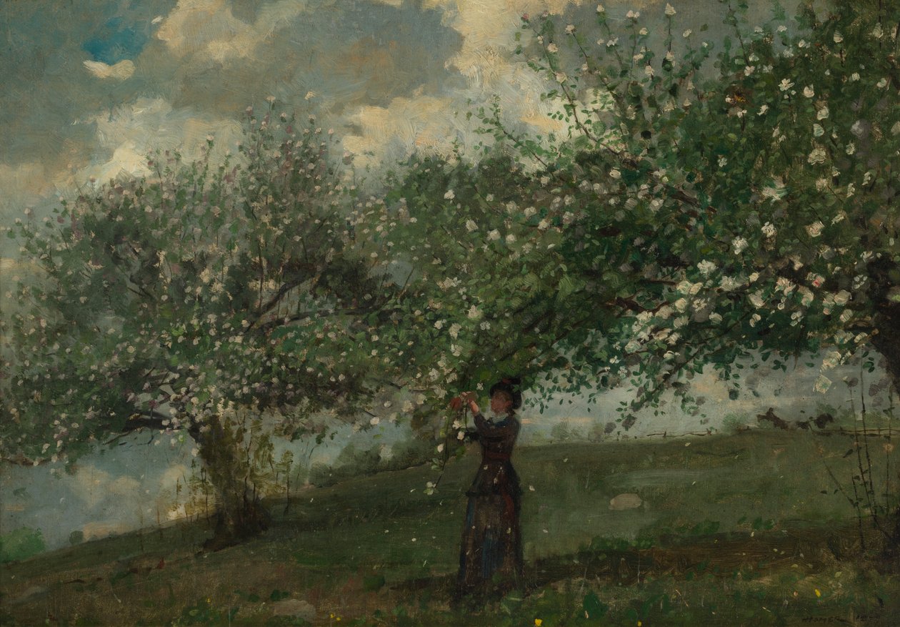 Almavirágot szedő lány, 1879. alkotó: Winslow Homer