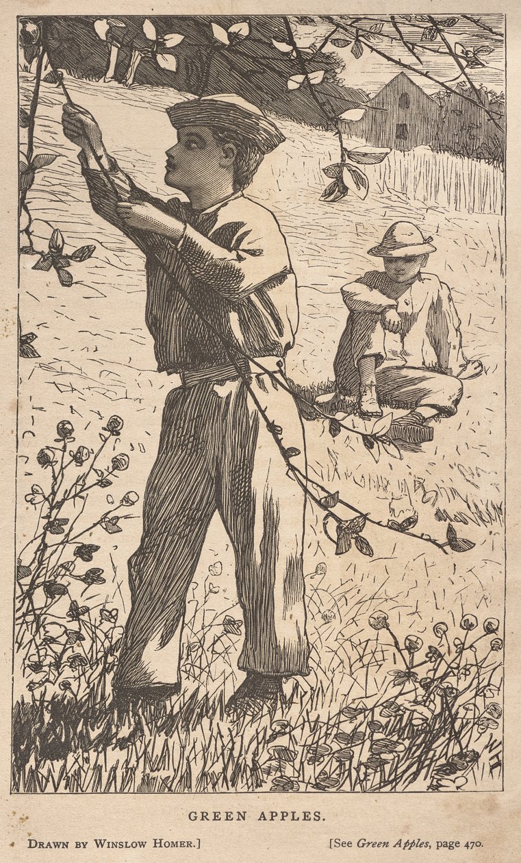 Zöld alma alkotó: Winslow Homer