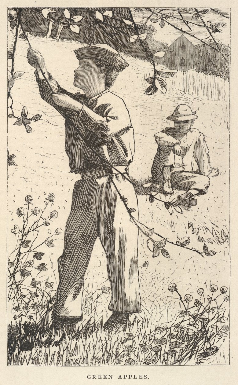 Zöld alma, az Ifjúságunkból, 1868. augusztus alkotó: Winslow Homer