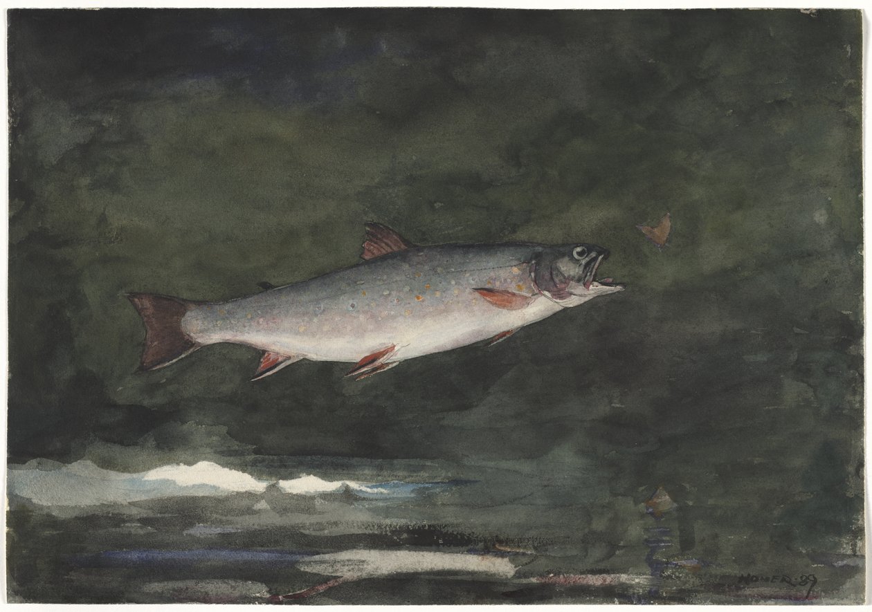 Ugráló pisztráng alkotó: Winslow Homer
