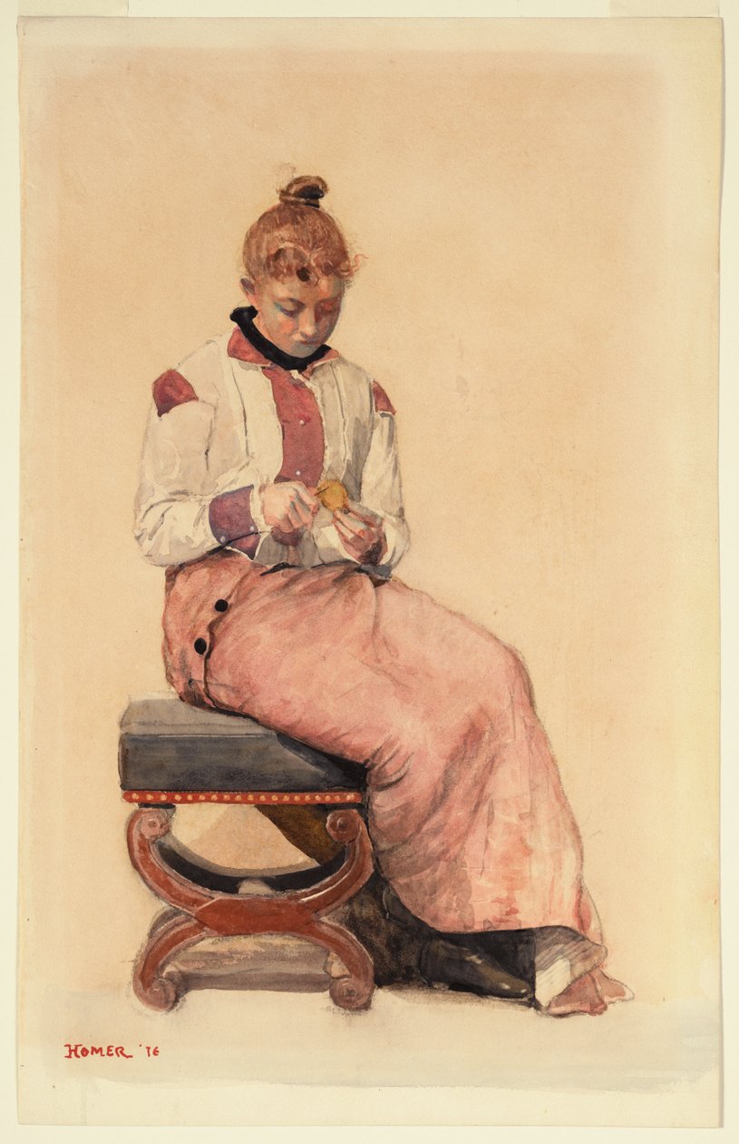 Citrom alkotó: Winslow Homer