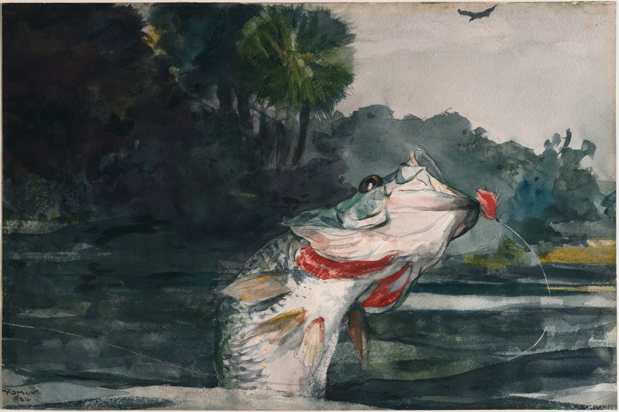 Életnagyságú fekete sügér alkotó: Winslow Homer