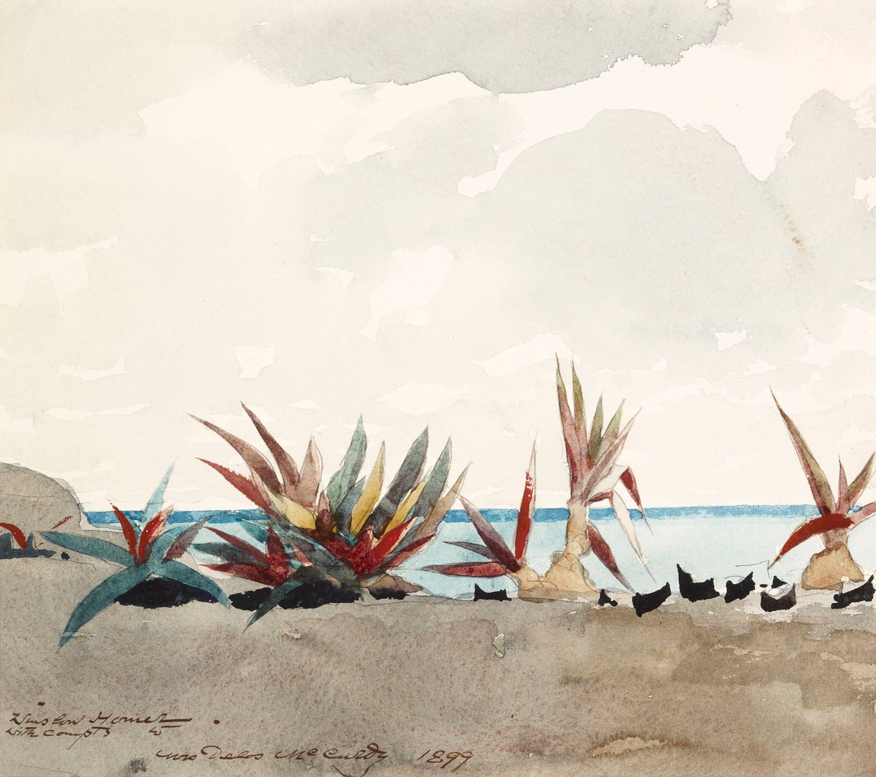 Nassau Beach agávékkal alkotó: Winslow Homer