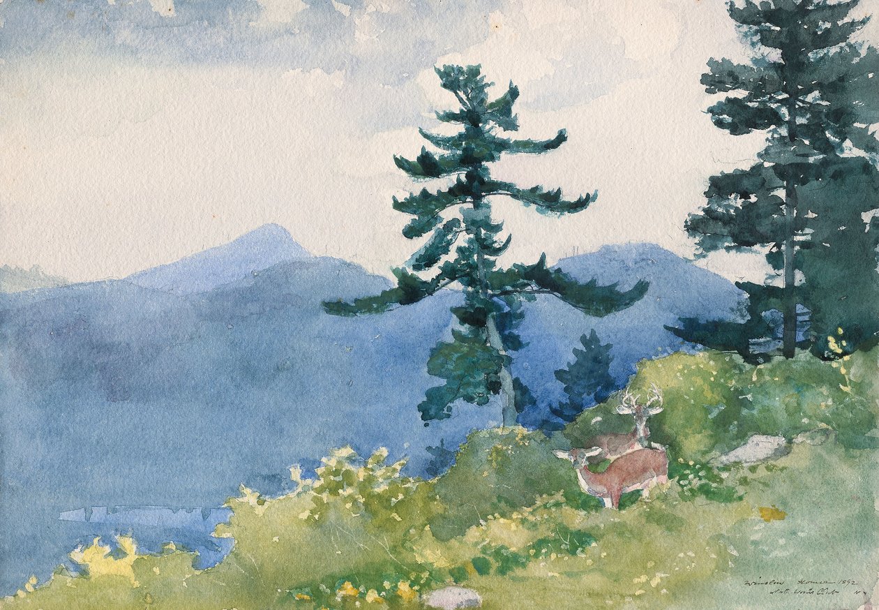 North Woods Club, Adirondacks (The Interrupted Tete-a-Tete) alkotó: Winslow Homer