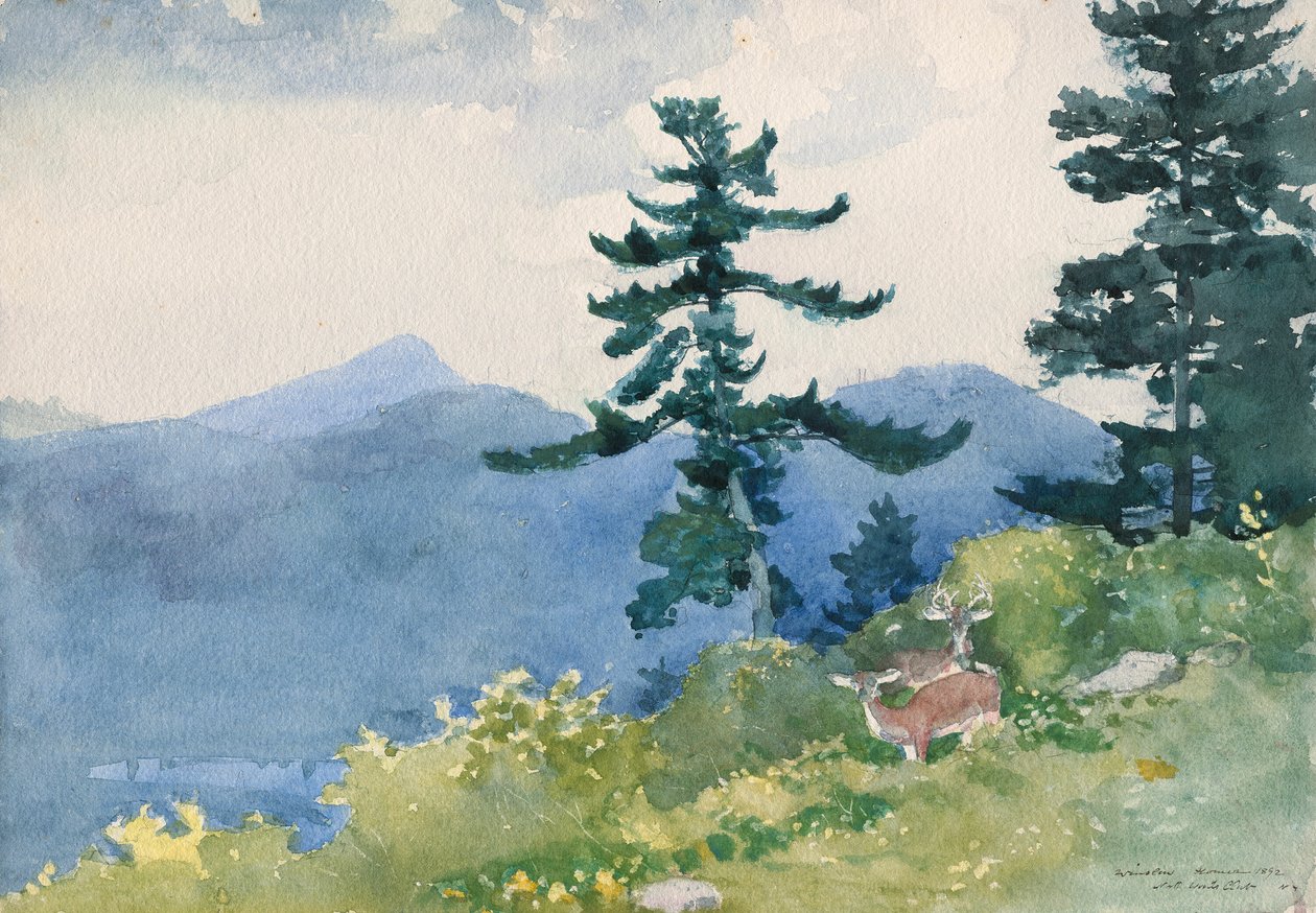 North Woods Club, Adirondacks (A megszakított Tete-a-Tete) alkotó: Winslow Homer