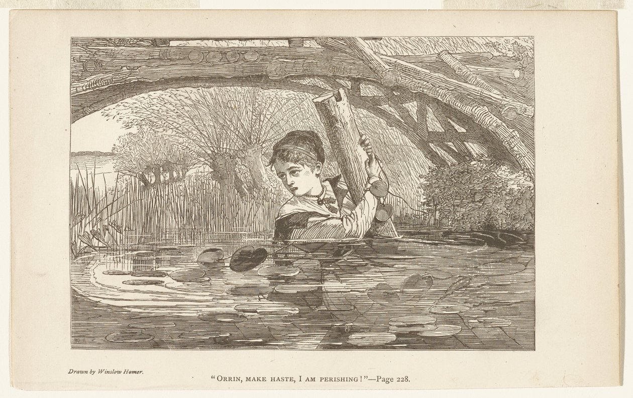 Orrin, siess, elpusztulok alkotó: Winslow Homer