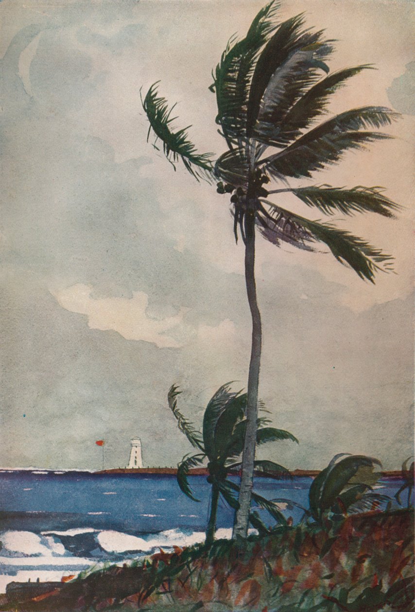 Pálmafák, Nassau, 1898, 1932 alkotó: Winslow Homer
