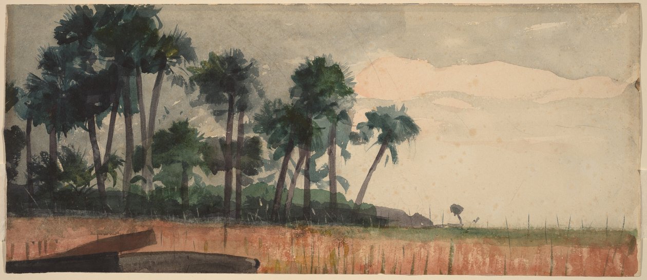 Vörös pálmafák alkotó: Winslow Homer