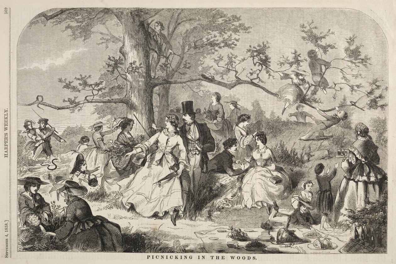 Piknik az erdőben alkotó: Winslow Homer