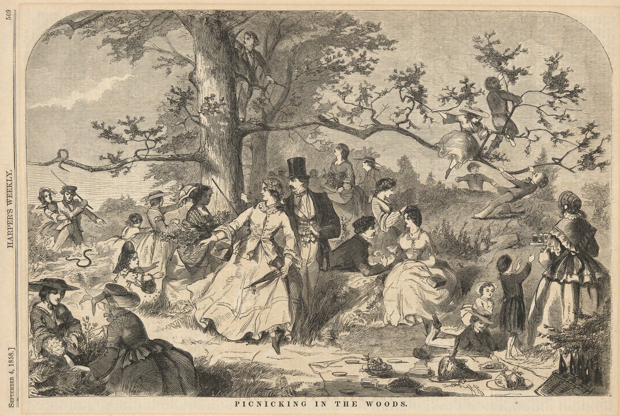 Picknicking in the Woods, Harpertől alkotó: Winslow Homer