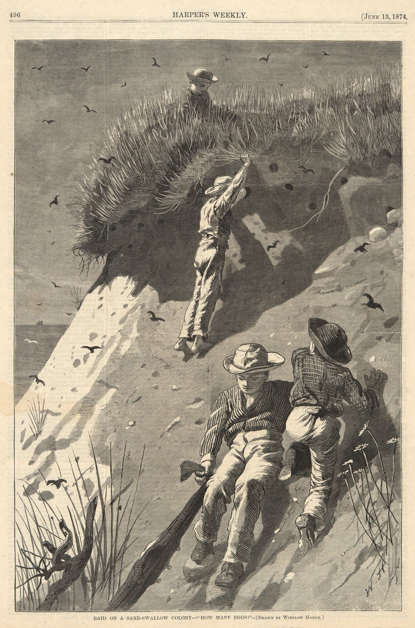 Raid egy homokfecske kolónián alkotó: Winslow Homer