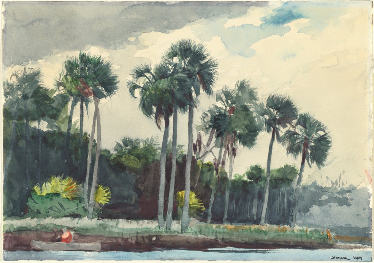 Vörös ing, Homosassa, Florida, 1904. alkotó: Winslow Homer