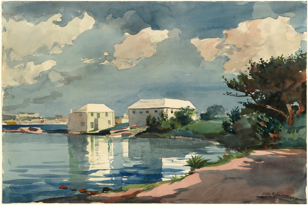 Sós medence, Bermuda alkotó: Winslow Homer