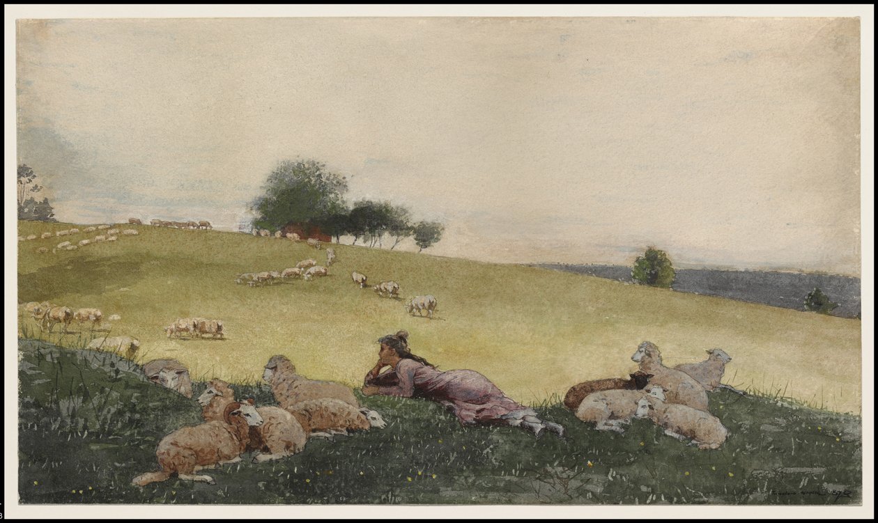 Houghton Farm pásztorlője, 1878 alkotó: Winslow Homer