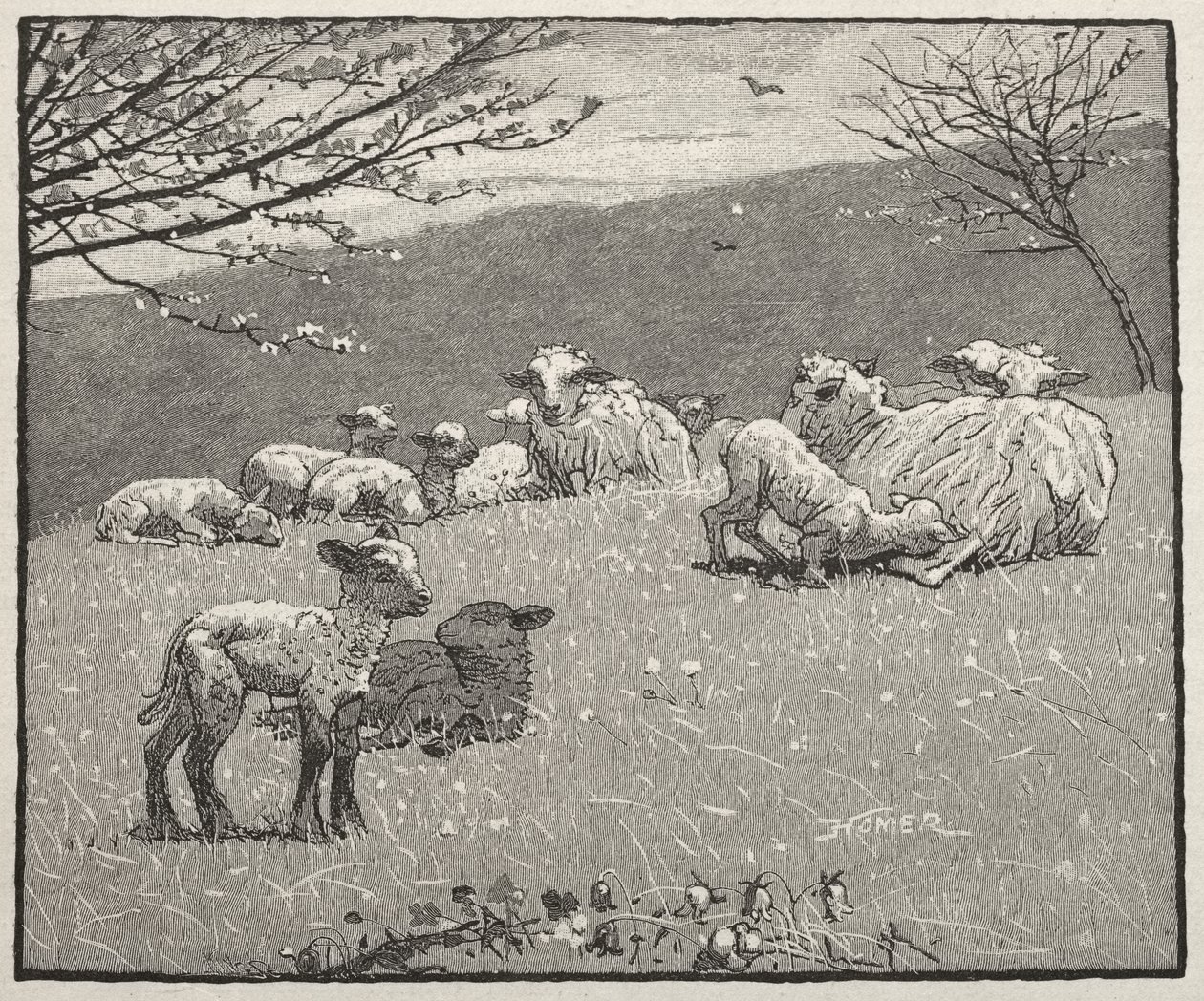 Tavaszi bárány alkotó: Winslow Homer