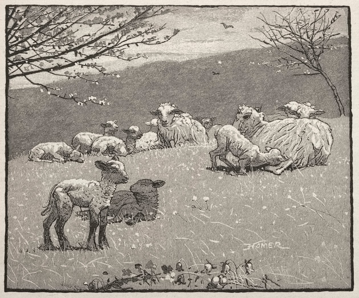 Tavaszi bárány, 1880. alkotó: Winslow Homer