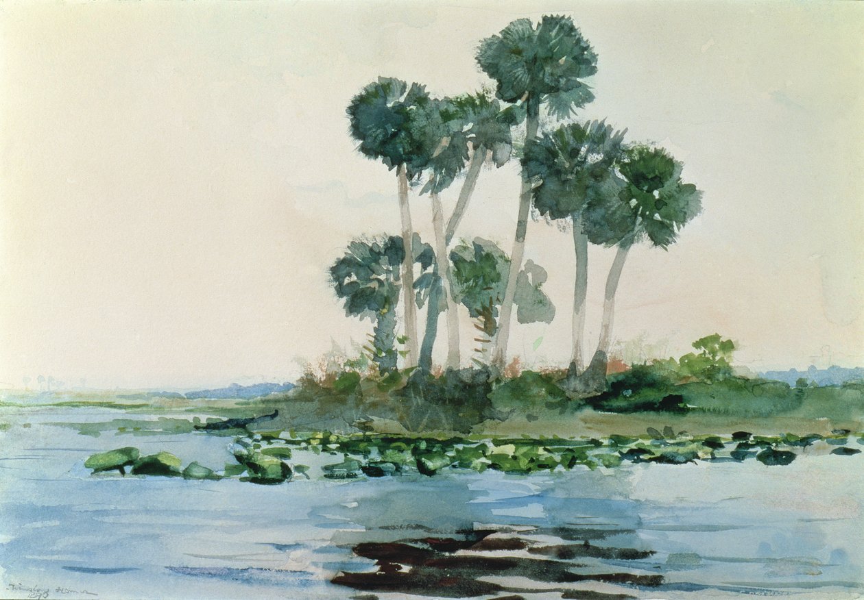 St. John