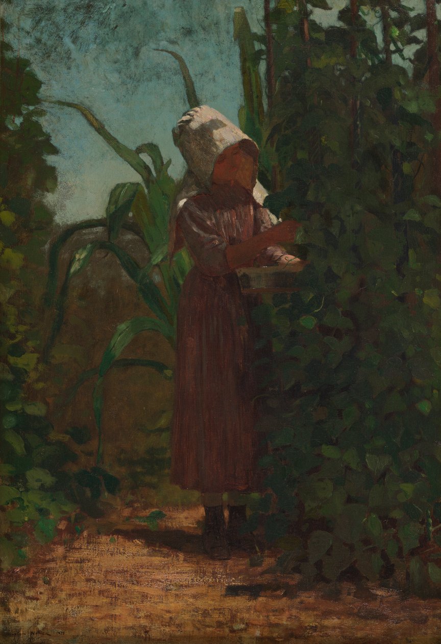 A babszedő alkotó: Winslow Homer