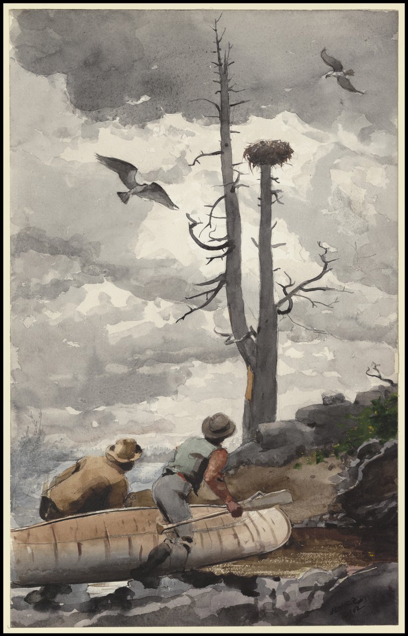 A sasfészek, 1902 alkotó: Winslow Homer
