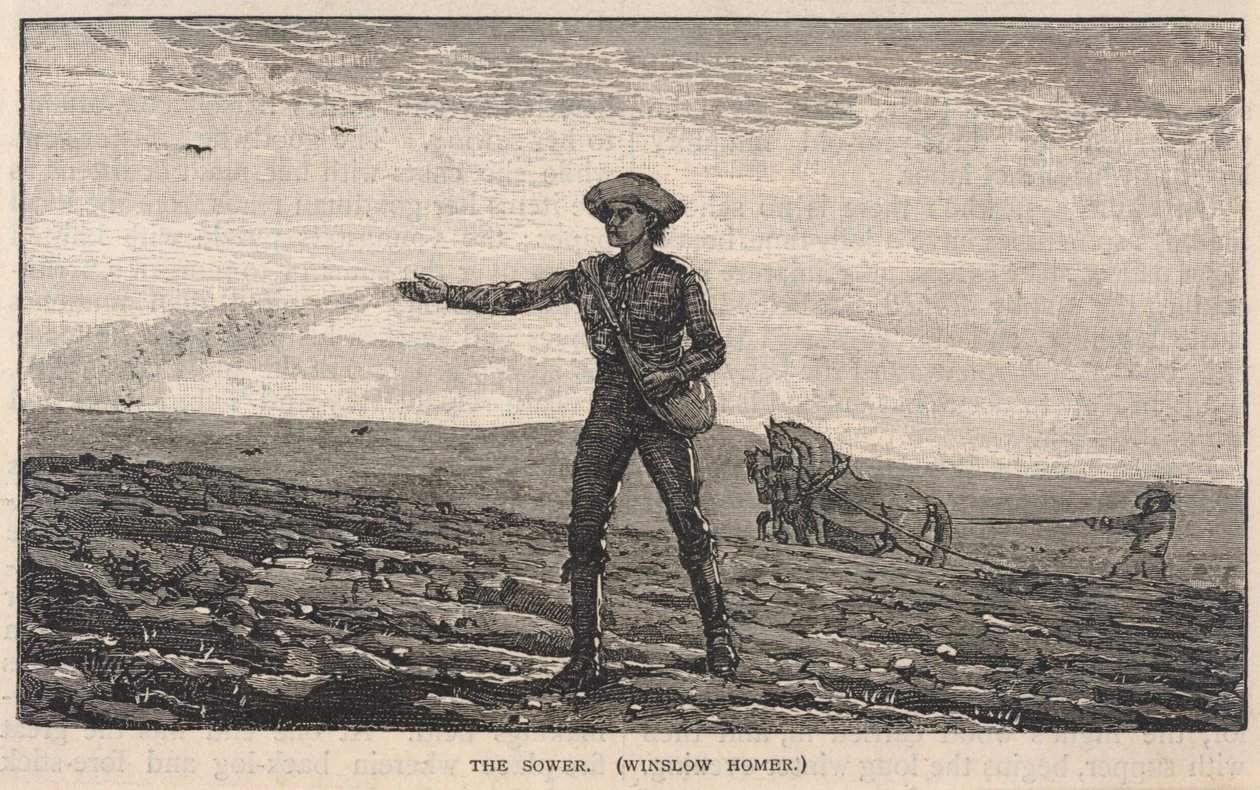 The Sower, a Scribner