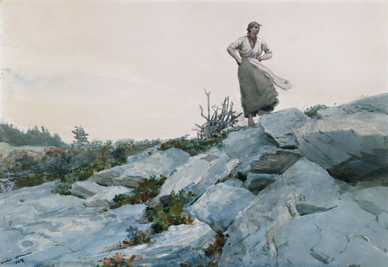 A gallyak gyűjtögetője, 1883 alkotó: Winslow Homer