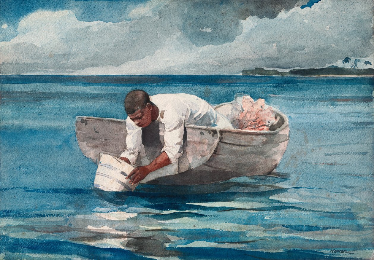 A Víz Fan alkotó: Winslow Homer