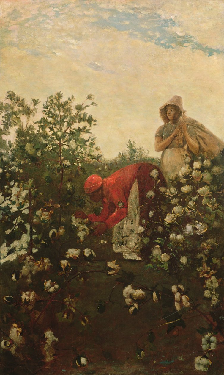 Felvidéki Cotton, 1875 alkotó: Winslow Homer