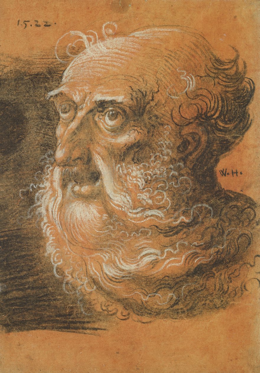 Head Study, 1522 (szén és fehér kréta papíron) alkotó: Wolf Huber