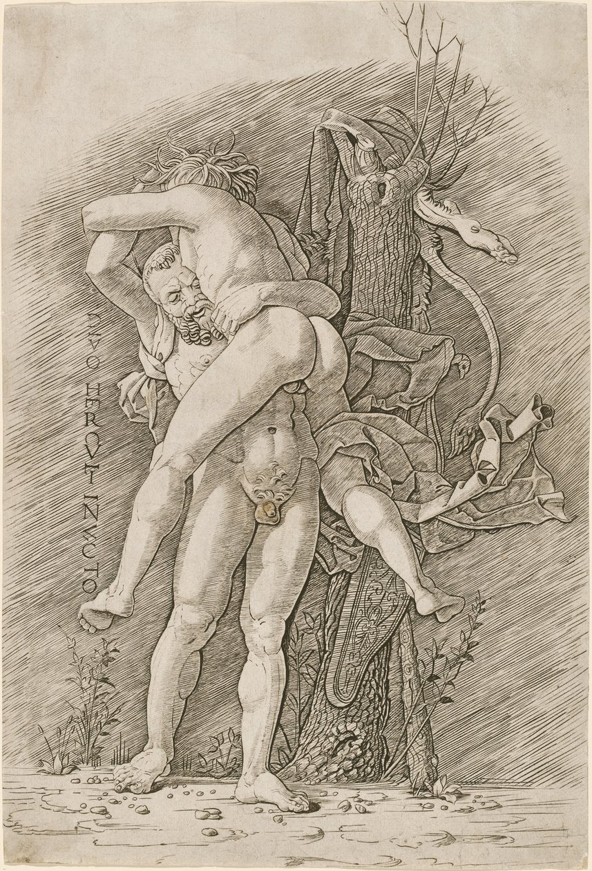 Herkules és Antaeus alkotó: Workshop of Andrea Mantegna