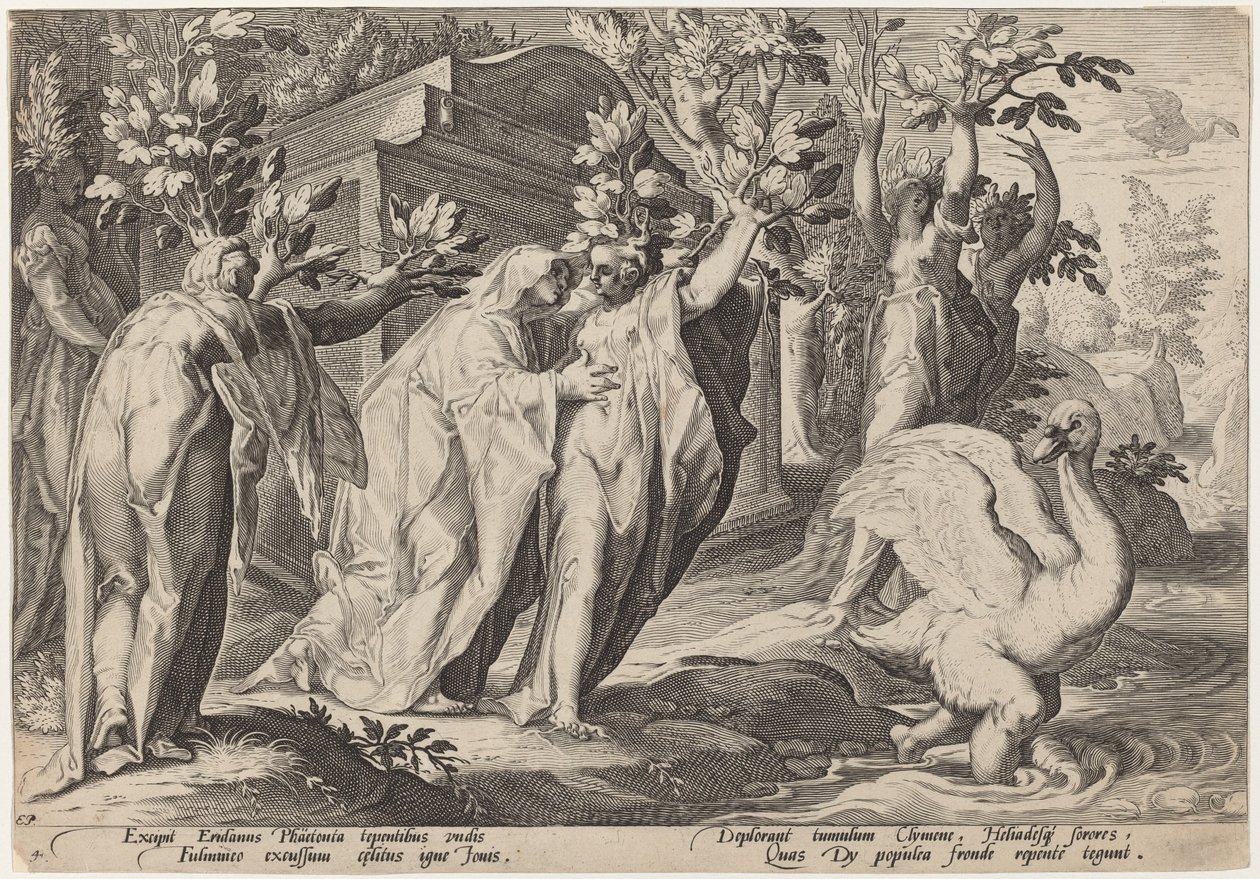 Phaeton nővérei nyárfává változtak, Cygnus pedig hattyúvá alkotó: Workshop of Hendrick Goltzius, after Hendrick Goltzius