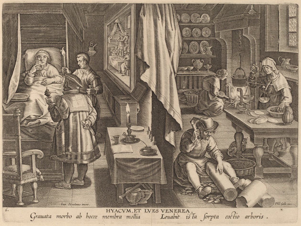 Guaiacum és nemi fertőzés alkotó: Workshop of Philip Galle after Jan van der Straet