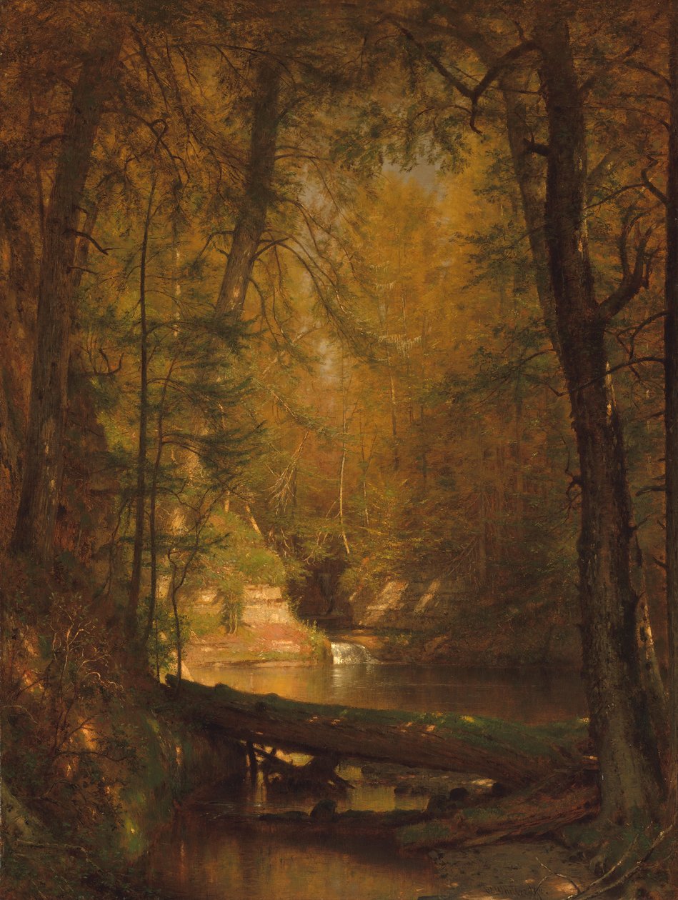 A pisztráng medence, 1870. alkotó: Worthington Whittredge