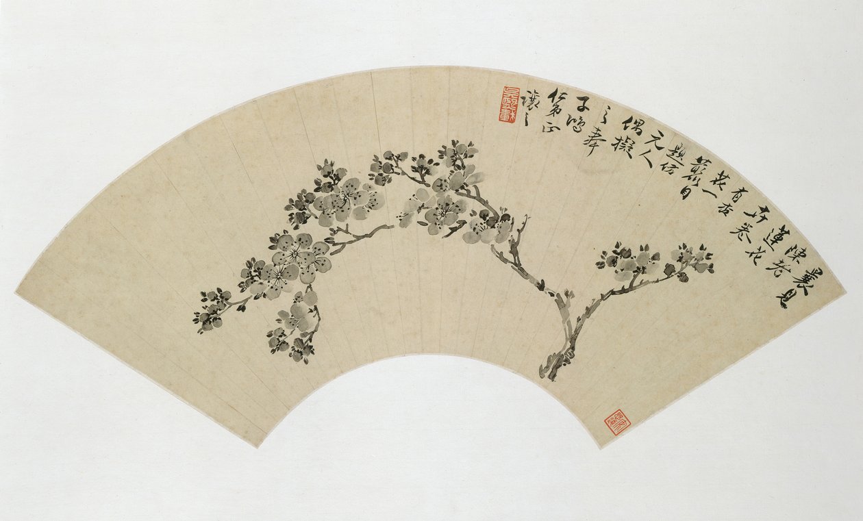 Sárgabarack, 19. század. alkotó: Wu Xizai